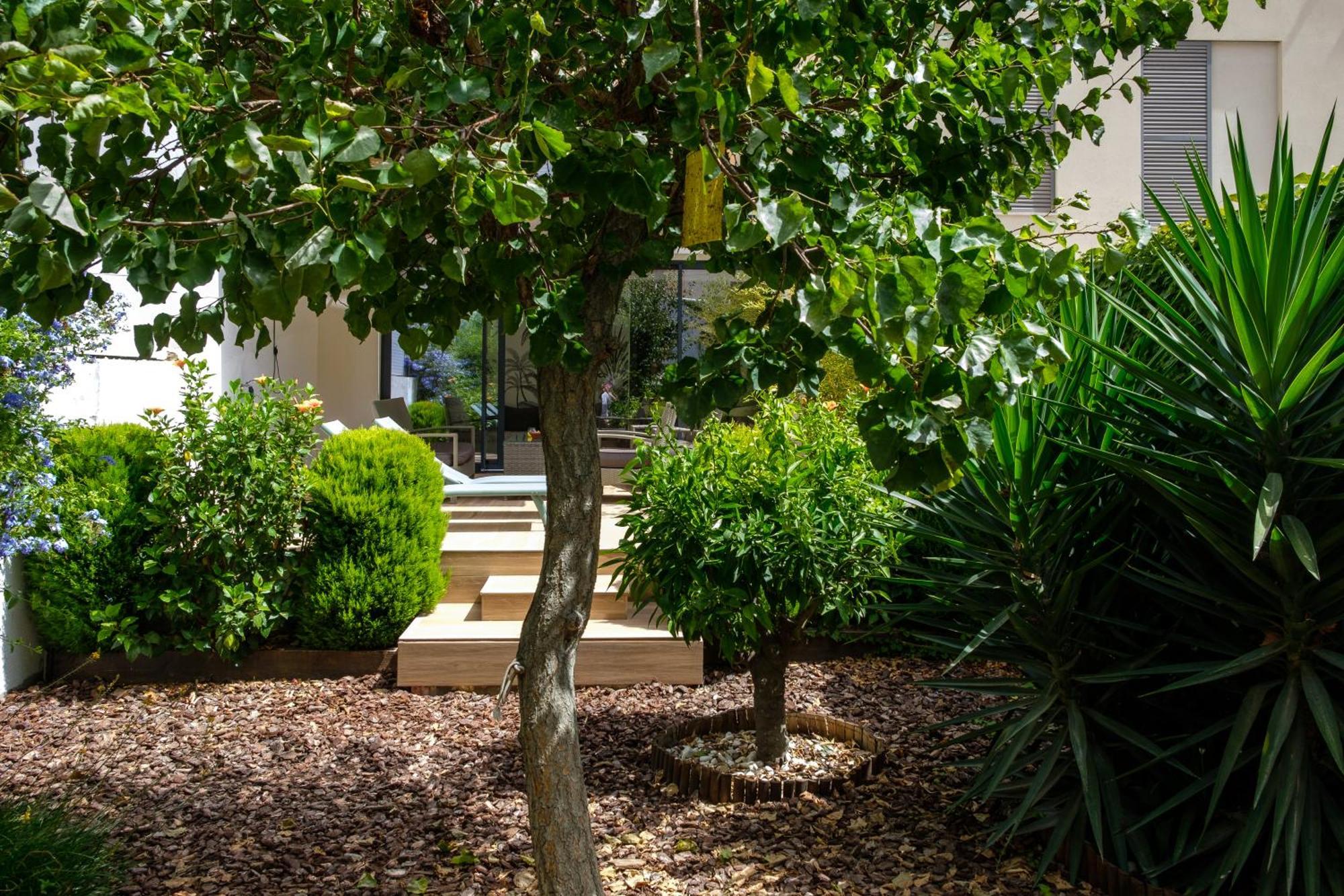 Pretty House Sa Font In Santa Catalina Palma City Екстериор снимка