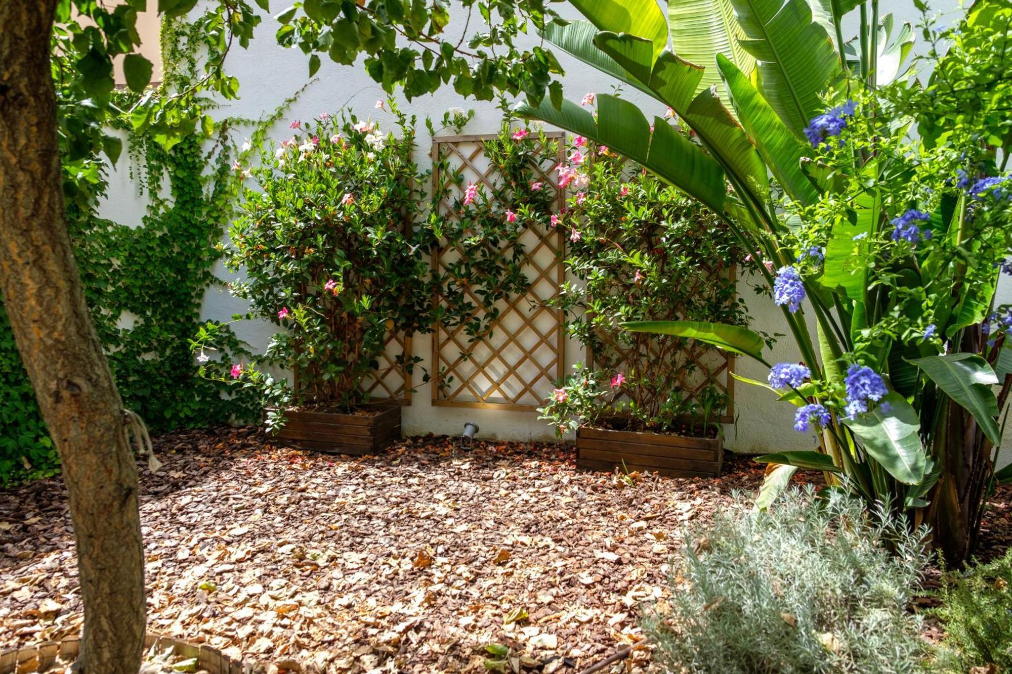 Pretty House Sa Font In Santa Catalina Palma City Екстериор снимка