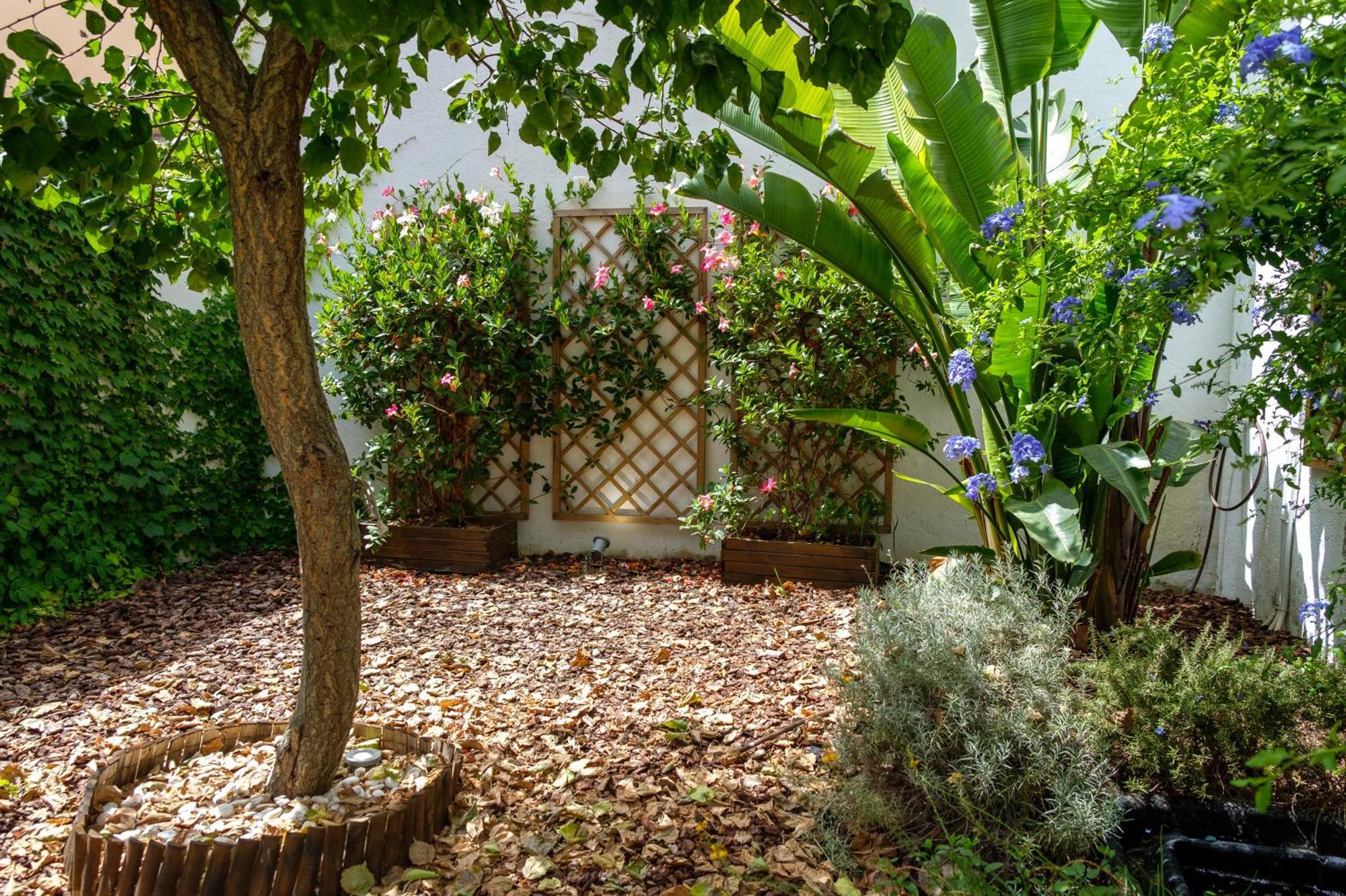 Pretty House Sa Font In Santa Catalina Palma City Екстериор снимка
